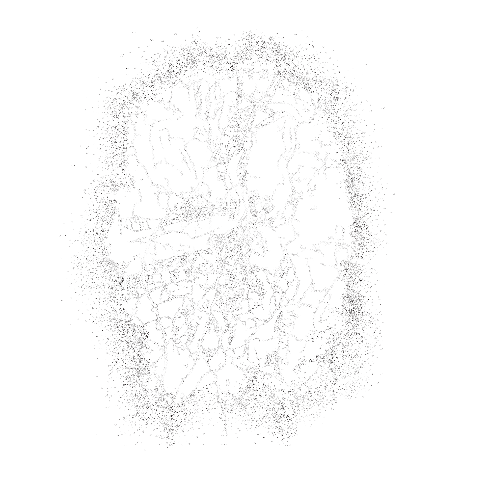 Holland Barry - Architecture Portfolio