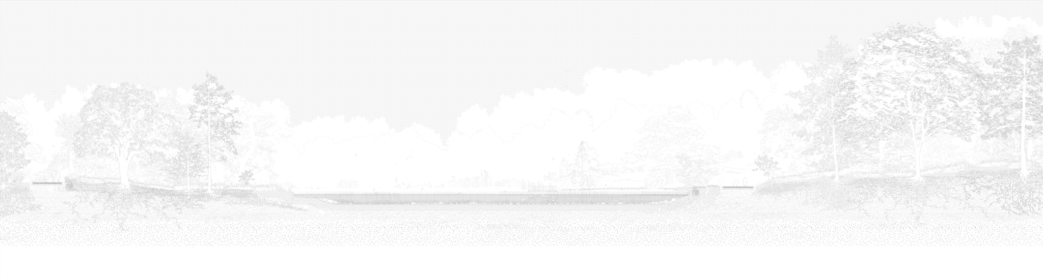 Tree Section Drawing