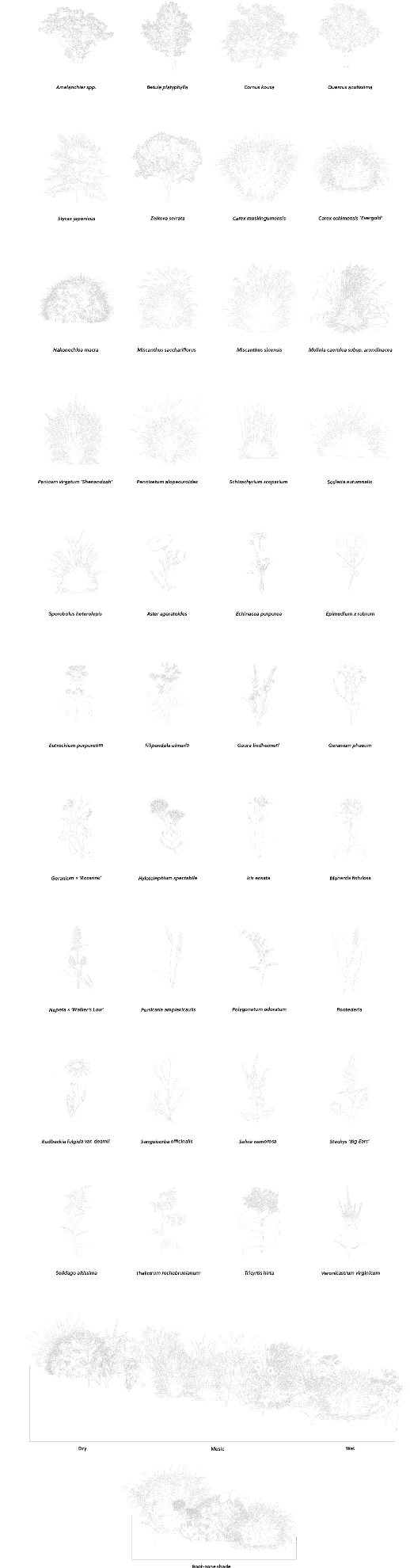 Plant Species Catalog